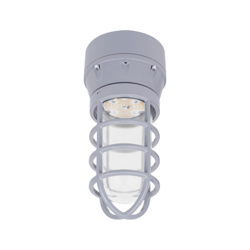 Ledvance 66823 20W Jelly Jar Hazardous Location Light, 2200 lm, 5000K, 120-347V