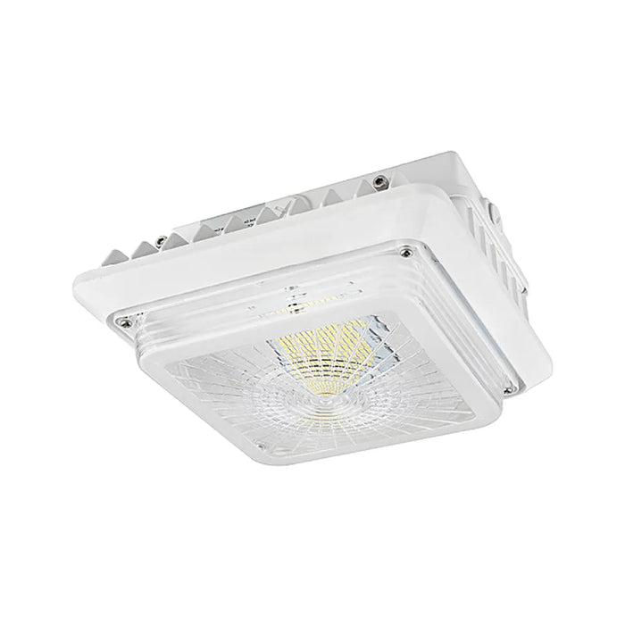 Westgate CGL 100W LED Garage/Canopy Light, 120-277V
