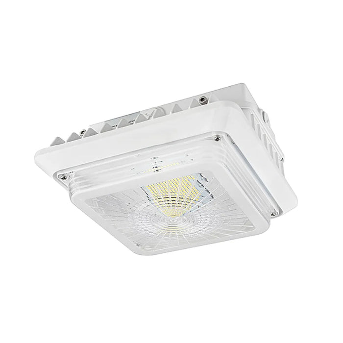 Westgate CGL 40W LED Garage/Canopy Light, 120-277V