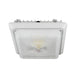Westgate CGL 40W LED Garage/Canopy Light, 120-277V