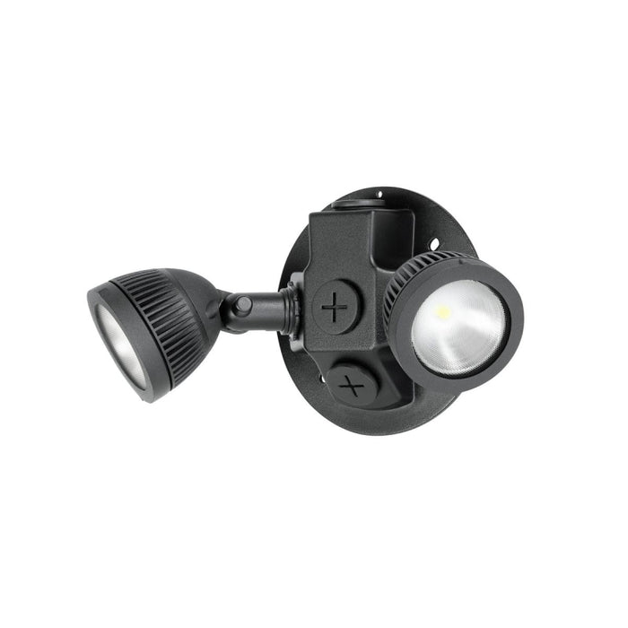 Dual-Lite DLRWD Outdoor LED Remote Head, Double Lamp