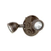 Dual-Lite DLRWD Outdoor LED Remote Head, Double Lamp