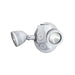 Dual-Lite DLRWD Outdoor LED Remote Head, Double Lamp