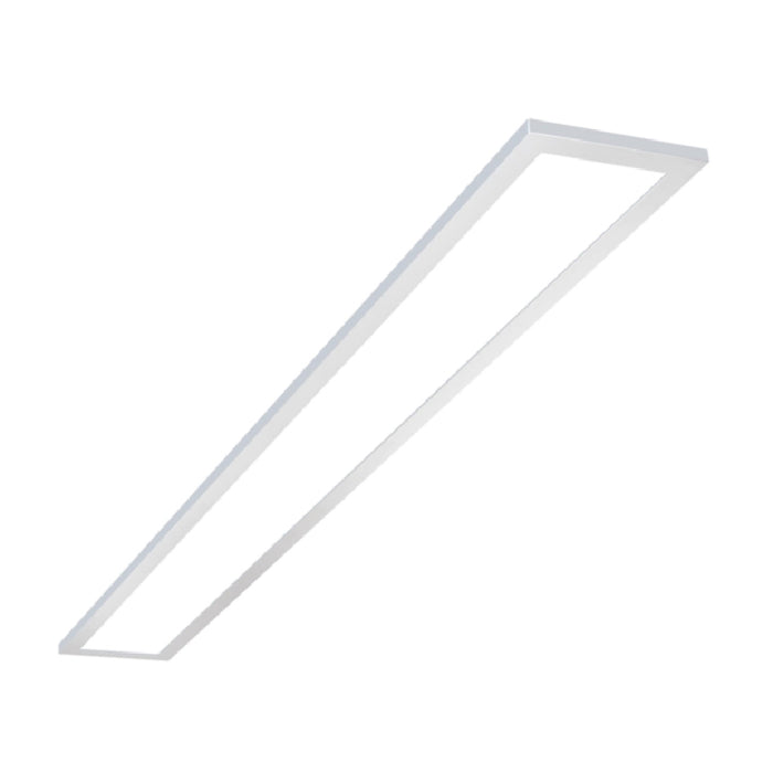 Fail-Safe FSN6 2-ft LED Sealed Narrow, 3CCT & Lumen Selectable