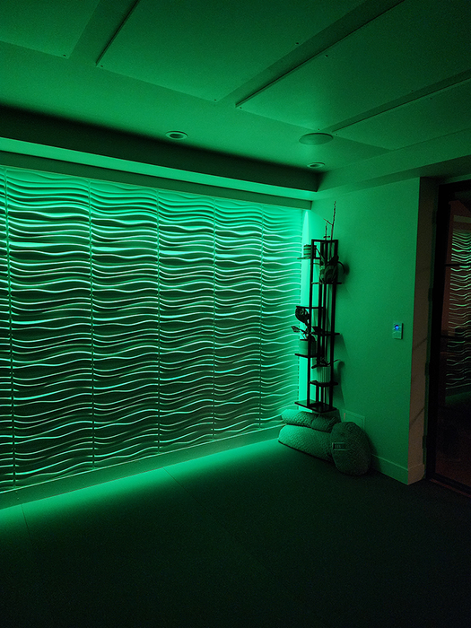 Linear Graze X Fixture with precise beam control. Graze with low glare in a small form factor.