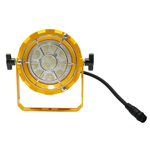 Westgate LDL-R 30W LED Loading Dock Light, 6000K, 120V