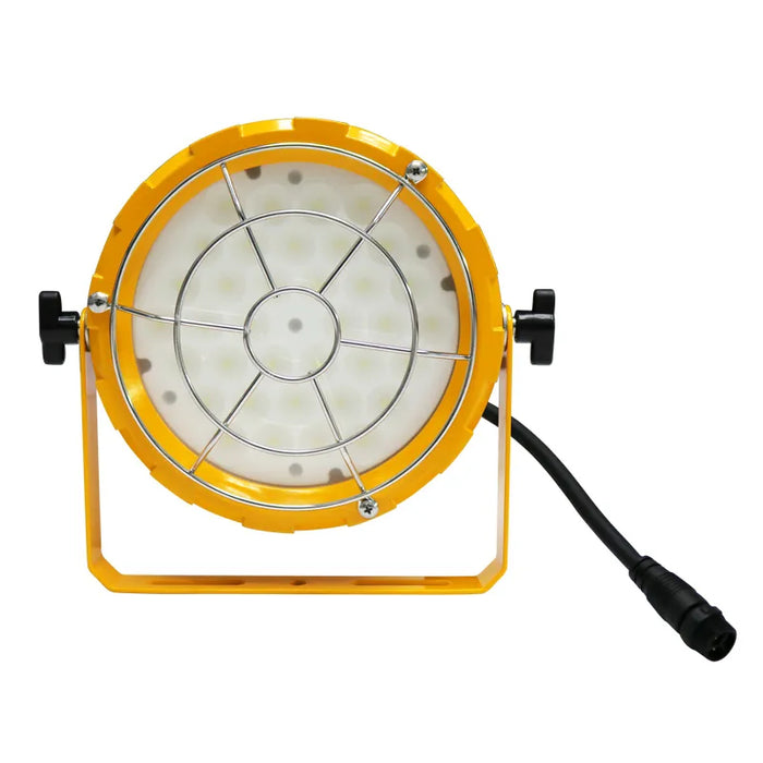 Westgate LDL-R 60W LED Loading Dock Light, 6000K, 120V