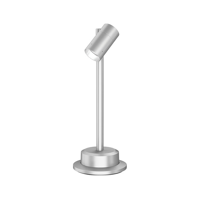 Lumiere Lanterra 1002 1-Head 10W LED Pathway Light, Flood Optic, Outdoor Hood, Round Surface Mount