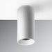 Rayon RCYA6 6" LED Architectural Cylinder, Wattage & 5CCT Selectable, 120-277V, Surface Mount-Shallow