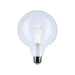 Satco S12489 8W G40 LED Bulb, E26 Base, 5000K