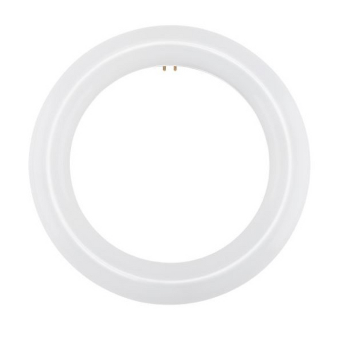 Satco S16500 11W 8" T9 LED Circline Bulb, 3000K, 20-Pack