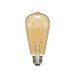 Satco S9577 2.5W LED Filament Bulb, ST19, 2000K, E26 Base, 120V