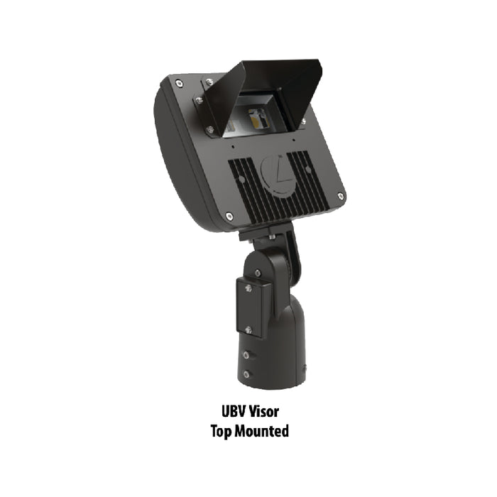 Lithonia DSXF1FV Upper/Bottom Visor Accessory