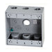 Westgate W2B75-3 Two-Gang Weatherproof Box, 3/4" Trade, 3 Outlet Holes