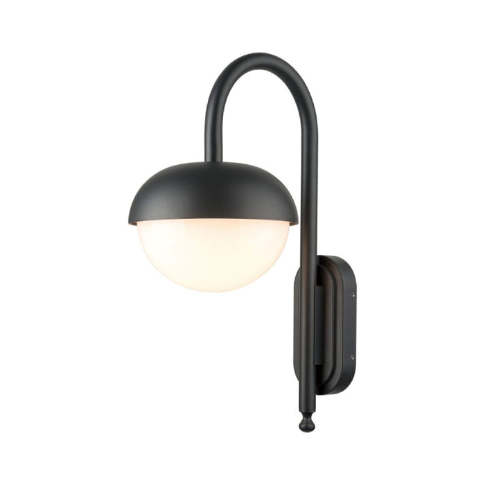 Sarin WL5581 40W 21" Tall Outdoor Wall Sconce, 110-240V