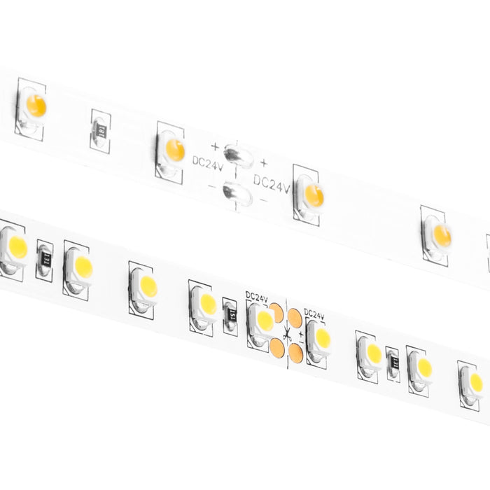 Diode LED Blaze 24V 4.5W/ft. LED Tape Light, 100-ft.
