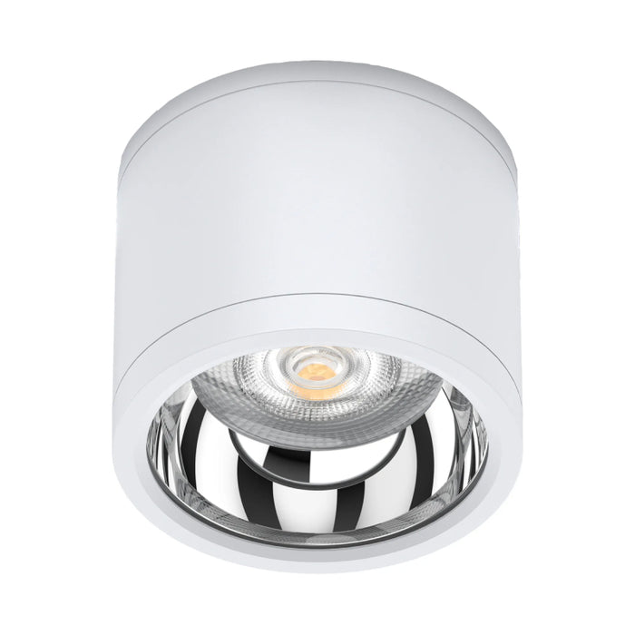 Westgate CMCW Series LED IP65 Surface Mount LED Cylinder Downlight, 3CCT Selectable, 120V, 36° Beam - White/25W