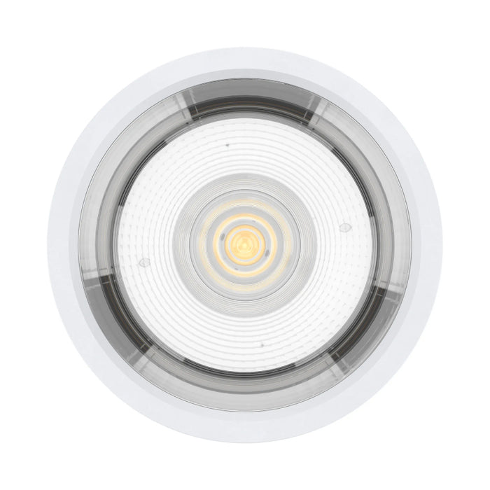 Westgate CMCW Series LED IP65 Surface Mount LED Cylinder Downlight, 3CCT Selectable, 120V, 36° Beam 
