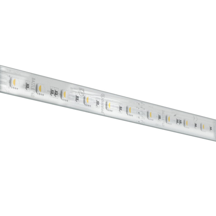 Diode LED DAZZLE RGBW 4D Wet Location 24V 6.4W/Ft,  Color Changing LED Tape Light, 16 ft