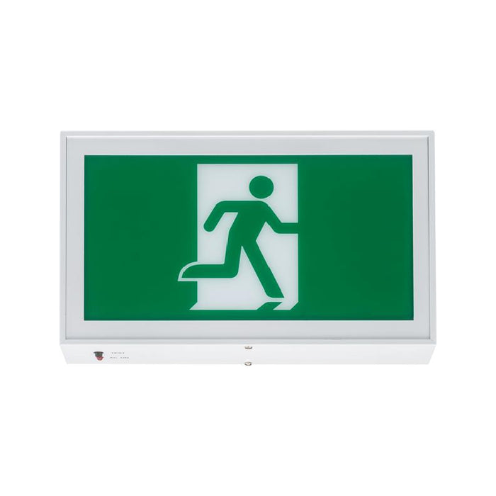Lithonia EARM Signature Extruded Aluminum Running Man Sign, Nickel-cadmium Battery, Double face, Self-diagnostics, 120V - White