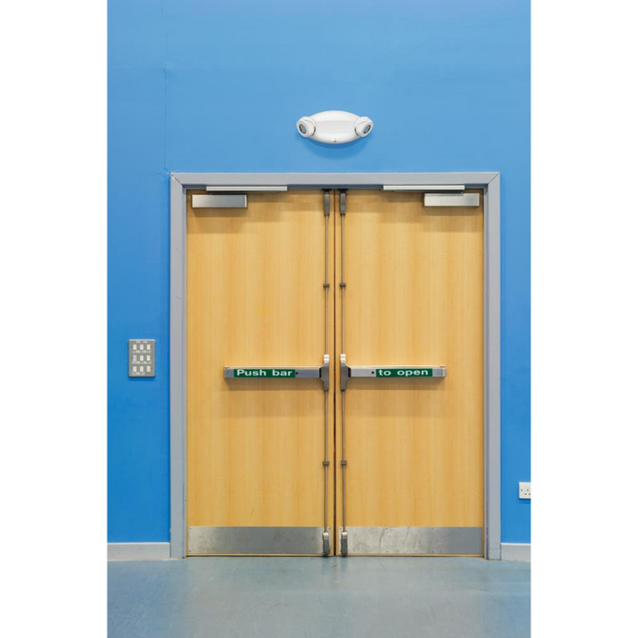 Lithonia ELM4L Quantum High Output Battery LED Adjustable Optics Emergency Light, 120-347V