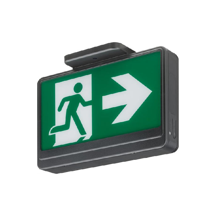 Lithonia EXRM Basics Thermoplastic Running Man Sign, AC only, 120/347V