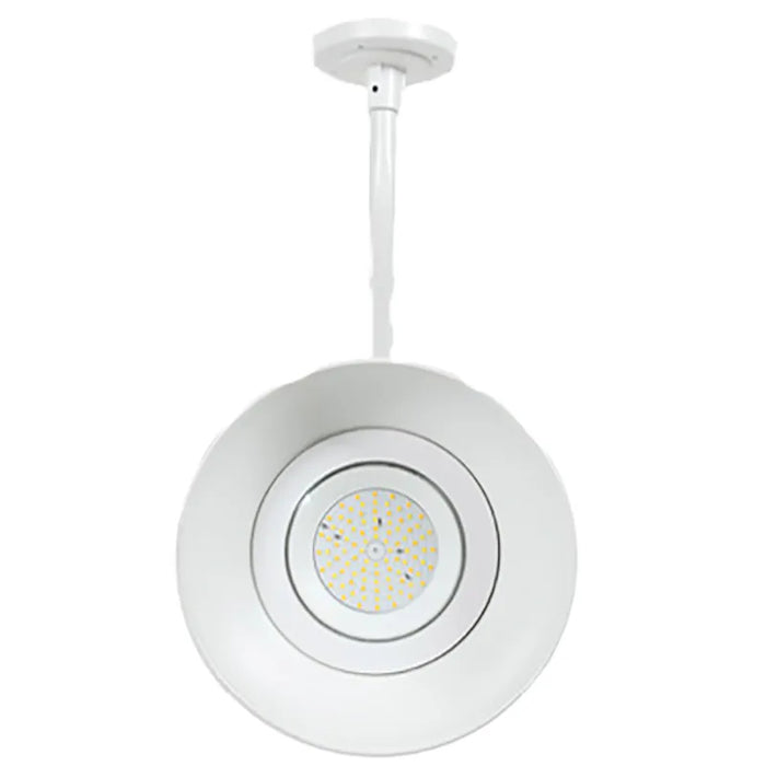 Westgate GNB 25W LED Gooseneck Barn Light, CCT Selectable, 3000lm, 120-277V