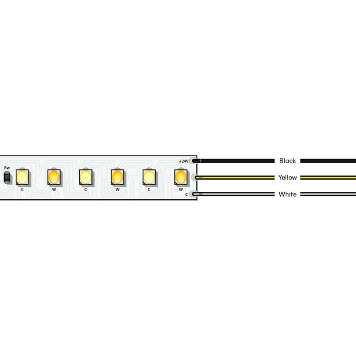 Diode LED Valent Tunable White 24V 5.85W/ft LED Tape Light