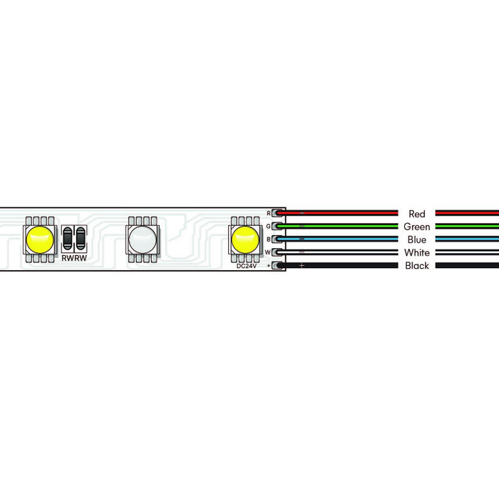 Diode LED Squiggly RGBW 24V 3.84W/ft, 16.4-ft LED Tape Light