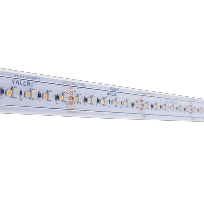 Diode LED Valent RGBW Wet Location 24V 6.1W/Ft, Color Changing LED Tape Light, 16.4 ft. Spool
