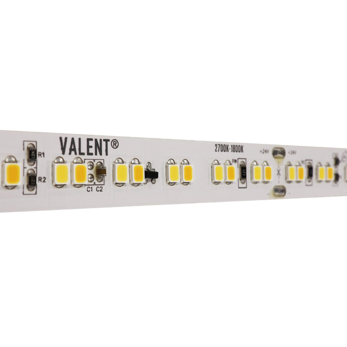 Diode LED Valent Warm Dim 24V 1.54W/ft. LED Tape Light, 16.4 ft