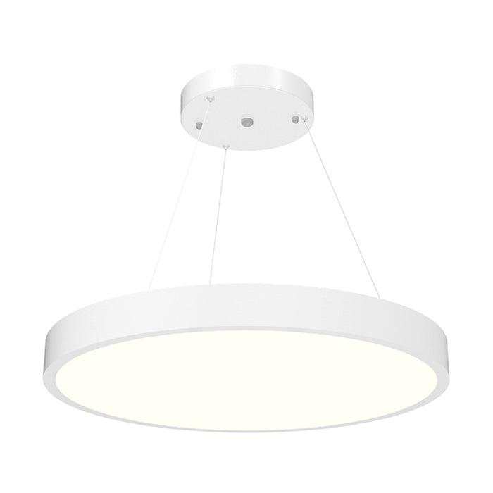 Westgate SCR 24" LED Architectural Round Suspended Down Light, CCT Selectable