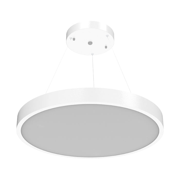 Westgate SCR 24" LED Architectural Round Suspended Down Light, CCT Selectable