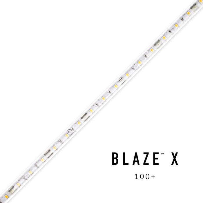 Diode LED BLAZE X Wet location 24V 1.5W/ft LED Tape Light, 16.4 ft.