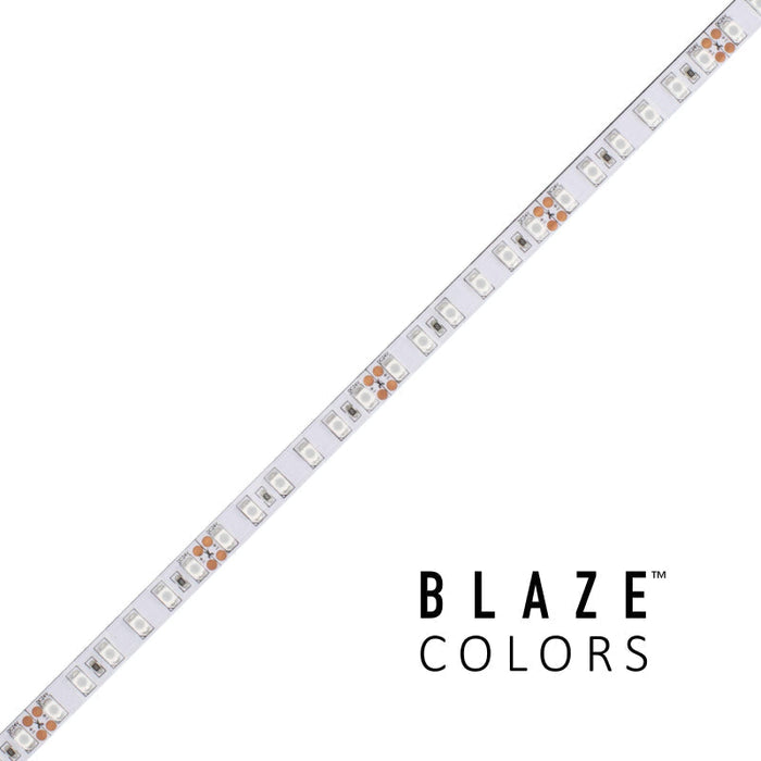 Diode LED BLAZE COLORS 24V 3W/ft. LED Tape Light, 16.4 ft