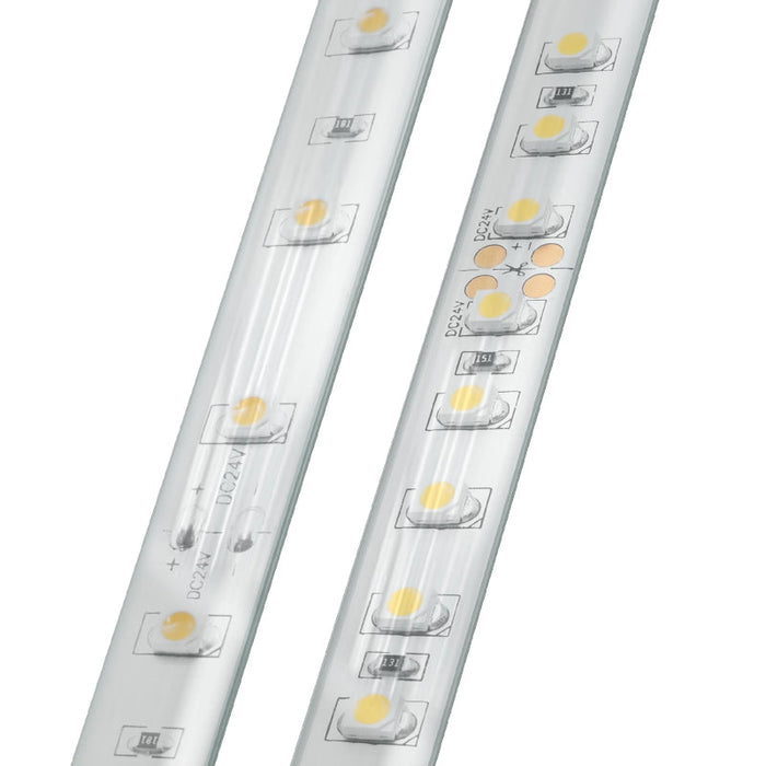Diode LED BLAZE Wet Location 12V 1.46W/ft. LED Strip Light, 16.4 ft.