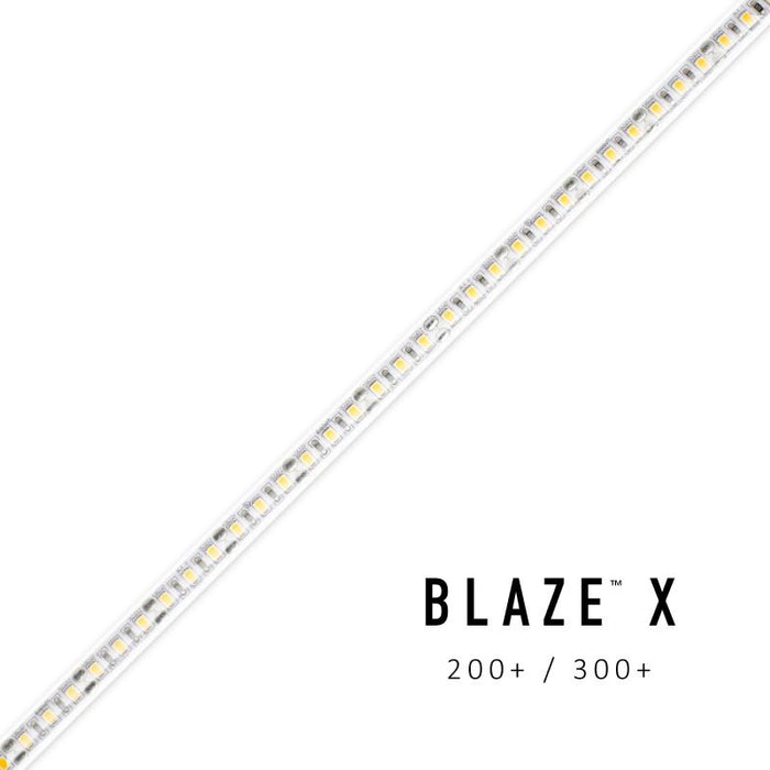 Diode LED BLAZE X Wet location 12V 4.3W/ft LED Tape Light, 16.4 ft.