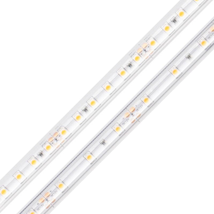 Diode LED BLAZE Wet Location 24V 4.5W/ft LED Strip Light, 16.4ft