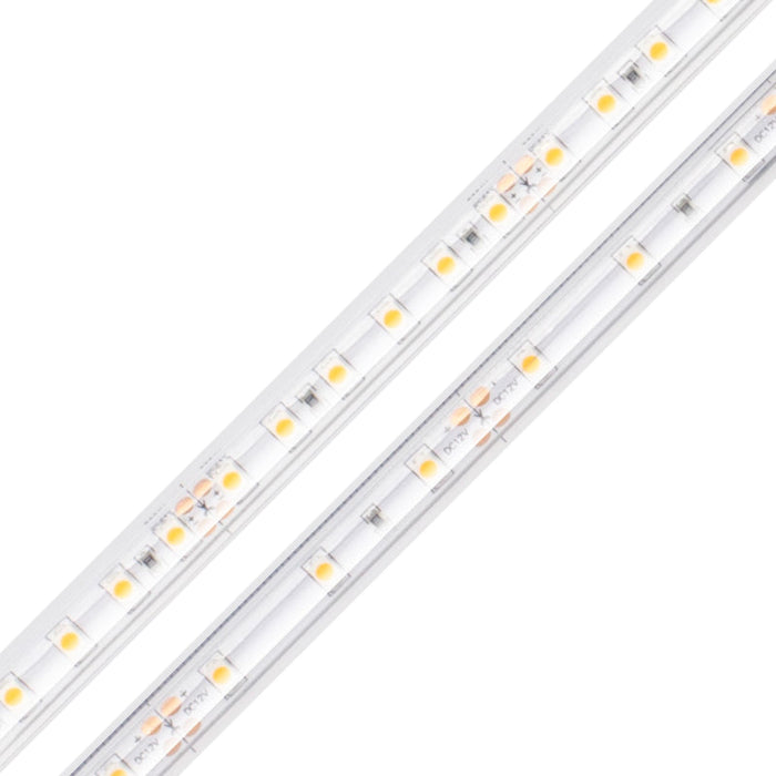 Diode LED BLAZE Wet Location 12V 1.46W/ft. LED Strip Light, 16.4 ft.