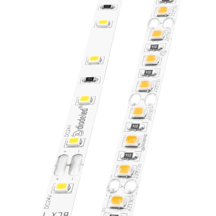 Diode LED BLAZE X 24V 4.3W/ft LED Tape Light, 100 ft.