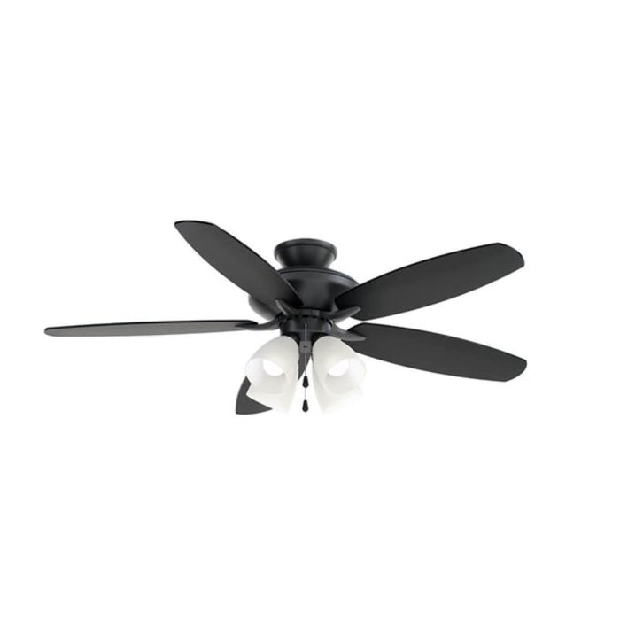 Kichler 330162 Renew Premier 52" Ceiling Fan with LED Light Kit