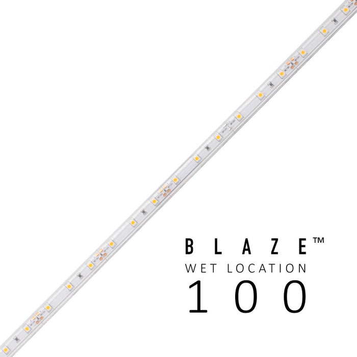 Diode LED BLAZE Wet Location 12V 1.46W/ft. LED Strip Light, 16.4 ft.