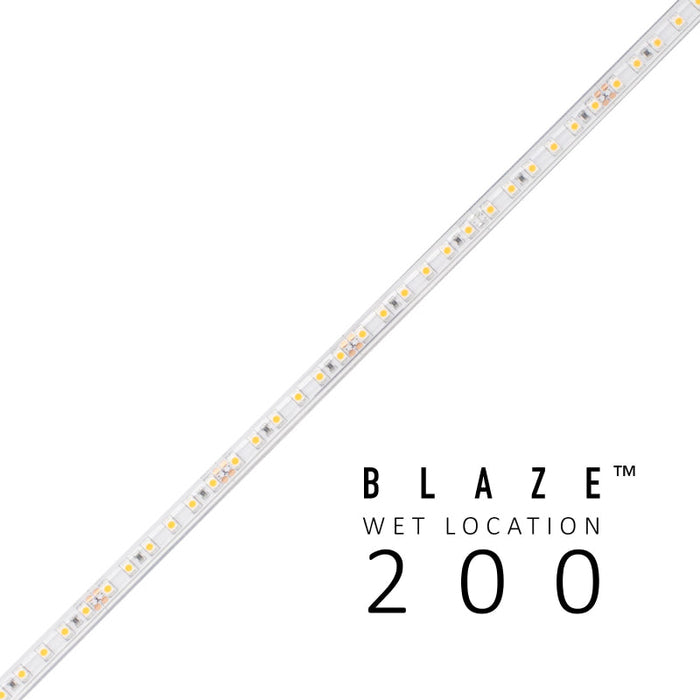 Diode LED BLAZE Wet Location 12V 2.93W/ft LED Strip Light, 16.4 ft.