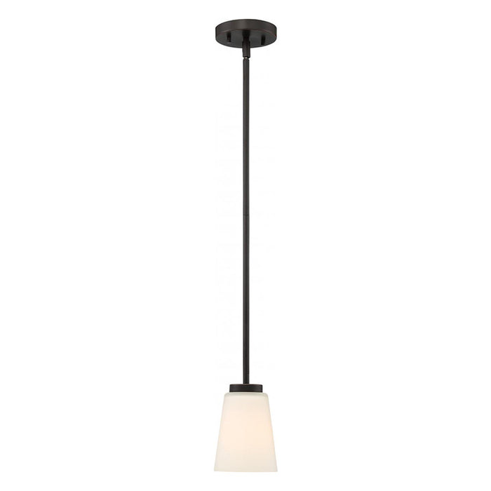 Nuvo Nome 1-lt 5" Pendant