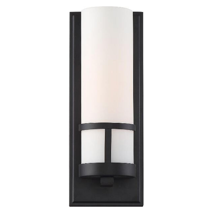 Nuvo Caryle 1-lt 12" Tall Vanity Light