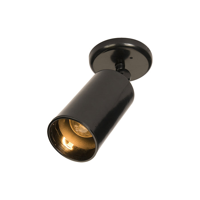 Maxim 92010 Spots 1-lt 9" Tall Outdoor Wall/Flush Mount