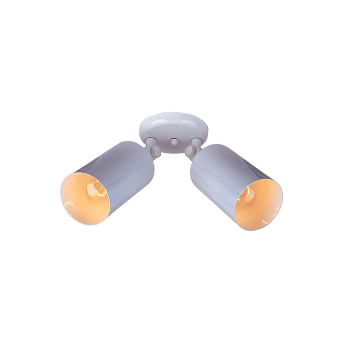 Maxim 92011 Spots 2-lt 17" Outdoor Wall/Flush Mount
