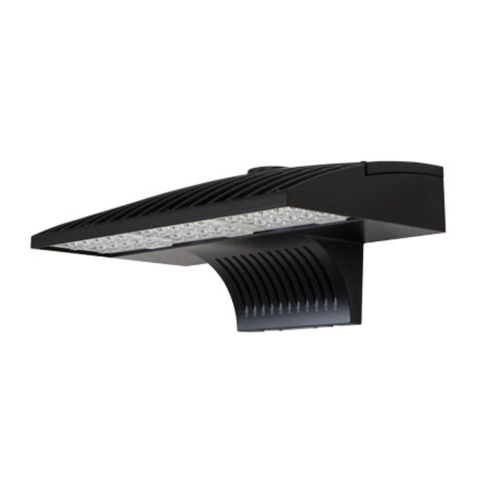 Lithonia DSXW2 47W LED Wall Pack, Type 2 Medium, 120-277V