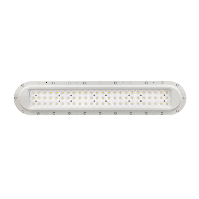 Westgate EXPL 40W Hazardous Location Flood/Highbay Light