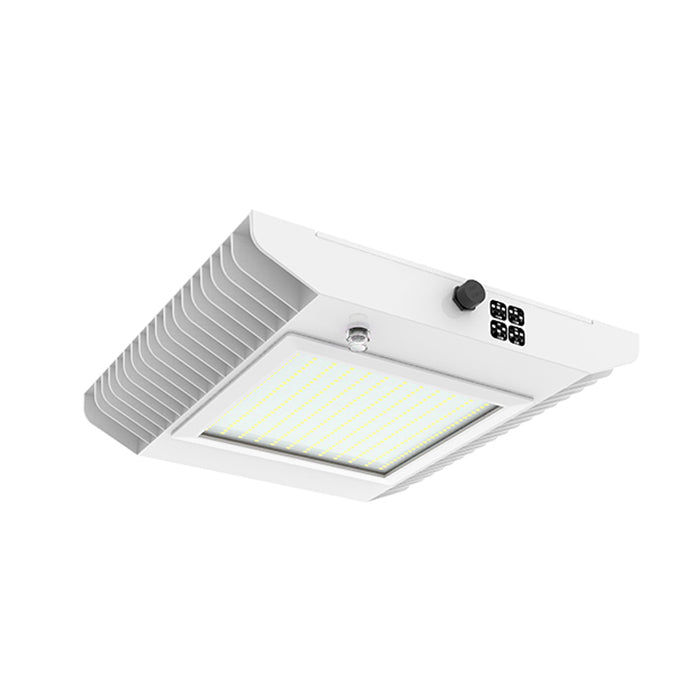 Westgate GSX 80W/100W/120W/150W LED Surface Mount Canopy Light